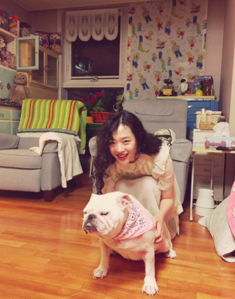 설리 인스타그램, 반려견, 불독 / 사진출처 - 설리 인스타그램 제공