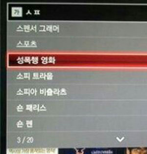 13일 한 페이스북 이용자에 따르면 이날 한때 올레TV의 영화 검색창에 