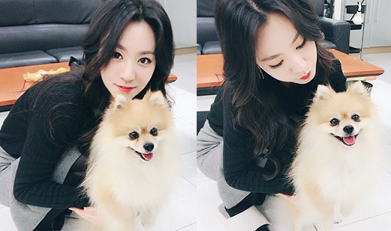 사진=제이와이드컴퍼니