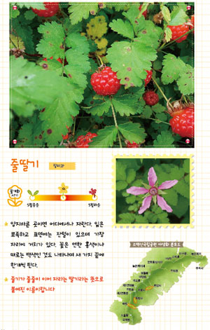 소백산국립공원이 최근 발간한 야생식물 도감과 지도. 소백산국립공원사무소 제공