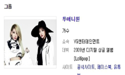 사진. 2NE1 블로그