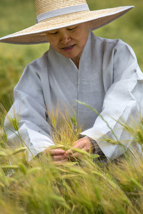 ▷지은이 선재 스님은… 사찰음식 명장. 1980년 경기도 화성 신흥사 성일 스님을 은사로 출가, 경기도 수원 봉녕사 승가대학 대교과를 졸업했다. 여러 선방에서 정진했으며, 1994년 중앙승가대학 사회복지학과를 졸업하며 사찰음식에 대한 최초의 논문 