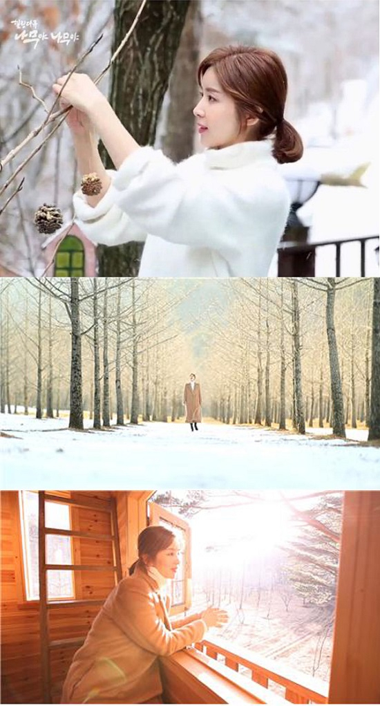 사진. KBS 1TV 