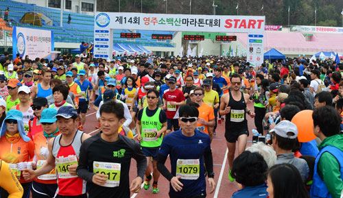지난해 소백산마라톤대회 참가자들이 출발 신호에 맞춰 힘차게 달려나가고 있다. 매일신문 DB