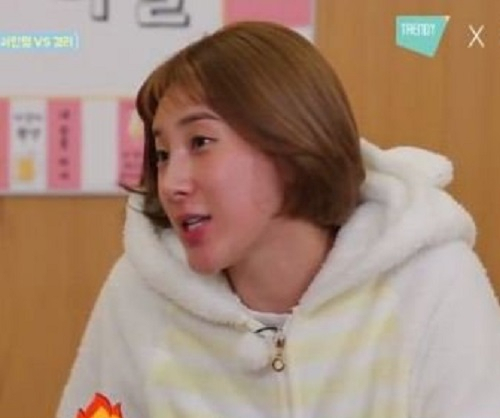 사진. 