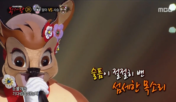 사진출처 - 