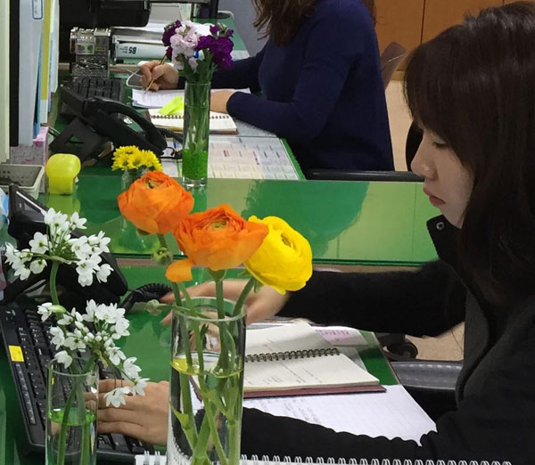 칠곡군농업기술센터는 경기 침체와 청탁금지법으로 어려움을 겪는 지역 화훼농가를 돕기 위해 