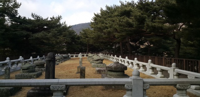 세종대왕자태실 전경