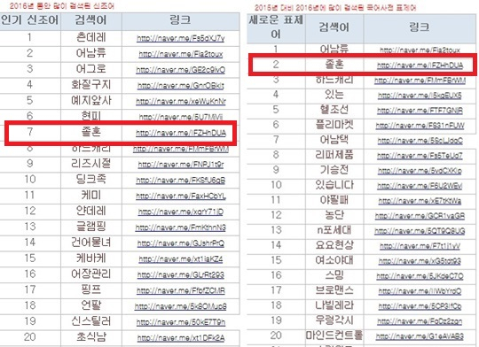 사진.네이버국어사전