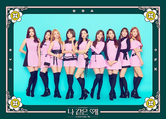 사진. 젤리피쉬