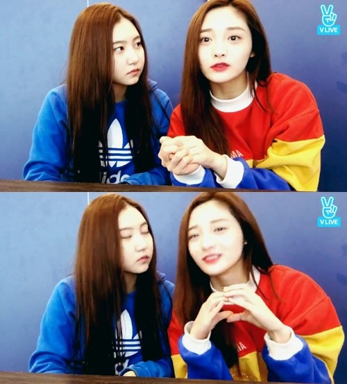 사진. 