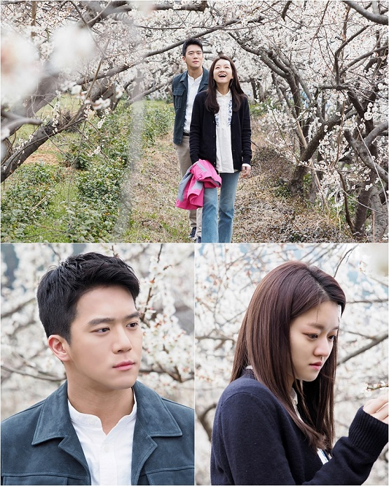 사진. MBC 