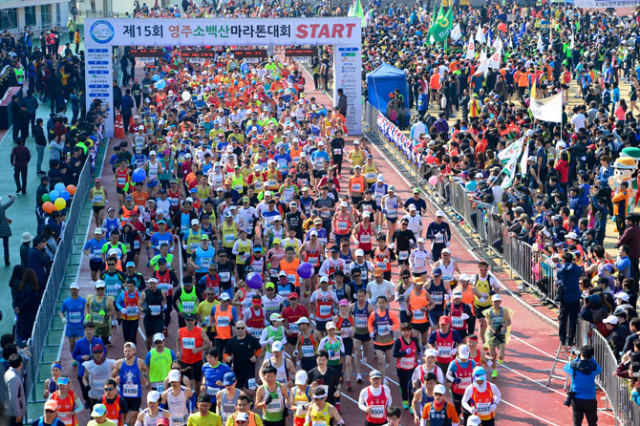 제15회 영주소백산마라톤대회