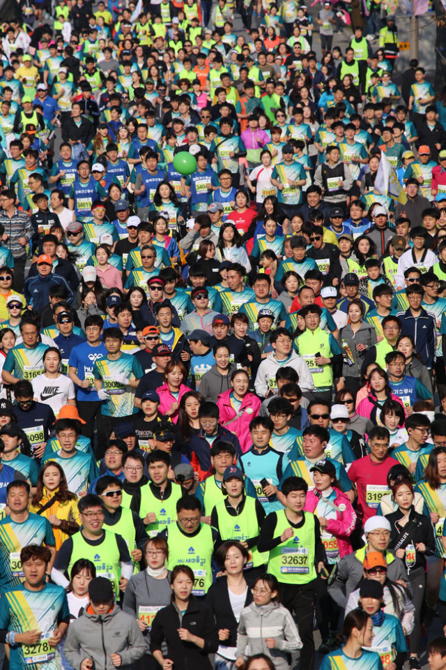 2일 열린 2017대구국제마라톤대회에 참가한 1만4천여명 마스터즈 선수들이 도로를 가득 메운 채 달리고 있다. 대구시 제공