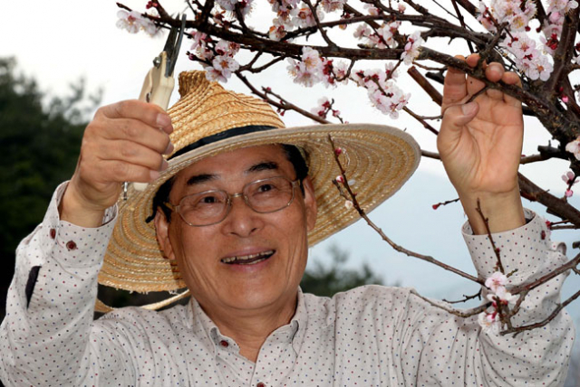 김용수 경북대 명예교수가 자신의 조경철학을 구현한 우촌정(又村亭)에서 나무를 돌보고 있다. 박노익 대기자