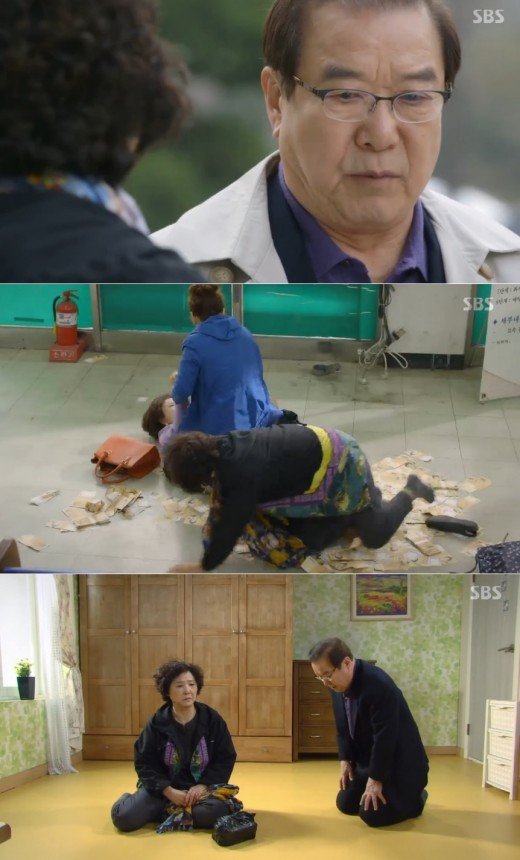 사진. 