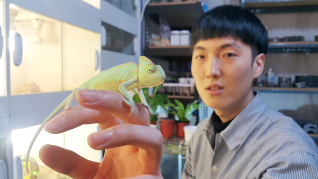 한덕희 사장이 자신이 키우는 카멜레온을 소개하고 있다. 카멜레온은 색깔을 바꾸는 것으로 잘 알려져 있지만 그보다 앙증맞은 발이 매력 포인트다. 강민호 기자