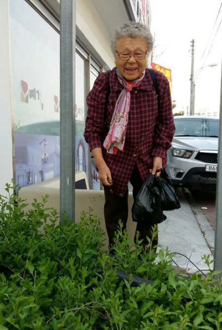 식사를 전혀 못 하시는 100세 시어머니를 위해 구기자 새순을 따고 있는 팔순의 며느리 김효심 할머니. 구미 송정동 김창수 씨 제공