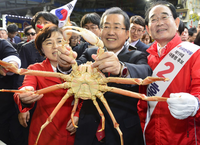 홍준표 자유한국당 대선 후보가 21일 포항 죽도시장에서 대게를 들어 보이며 지지를 호소하고 있다. 성일권 기자 sungig@msnet.co.kr