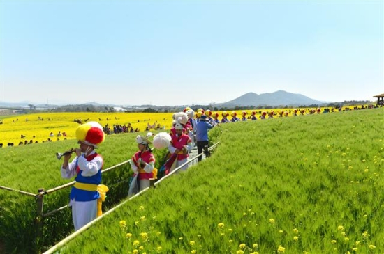 고창 청보리밭축제.고창군제공