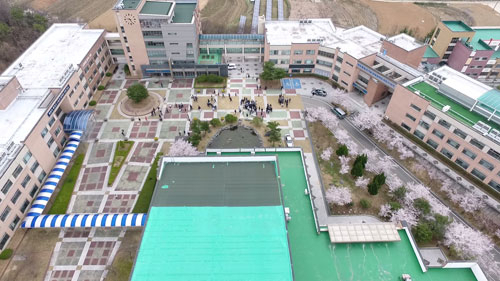 드론으로 촬영한 경산과학고 전경. 교내에 만발한 왕벚꽃이 장관이다. 경산과학고 제공