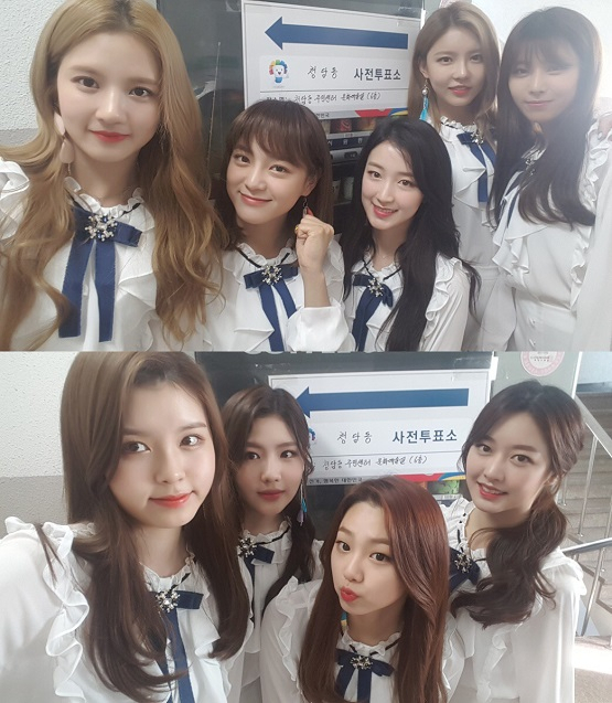 사진. 젤리피쉬