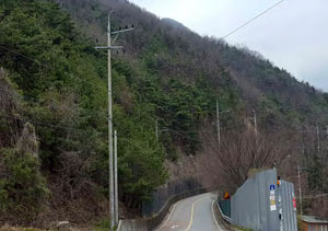 칠곡군 석적읍 임야