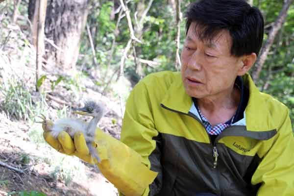 이태규 낙동강사랑환경보존회장이 안동시 와룡면 오천리 일원에 있는 왜가리