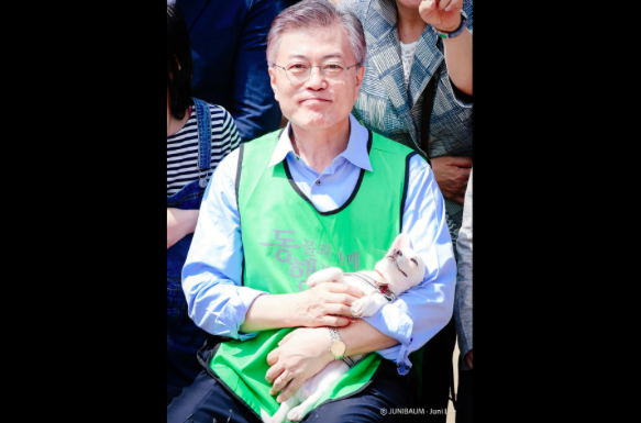 문재인 마약방석 유기견 앨리스 / 사진출처 - 트위터 캡쳐