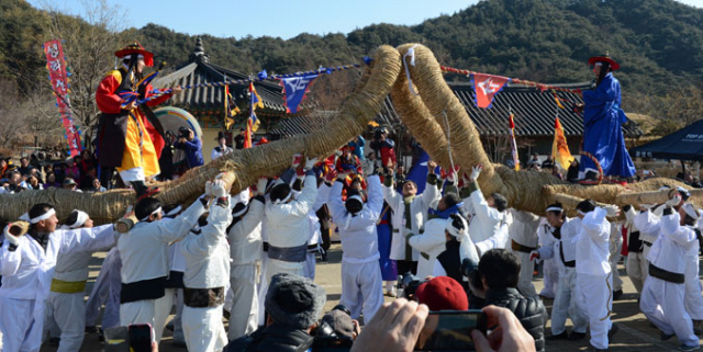 지난해 선비문화축제장인 선비촌 저잣거리에서 초군청 줄다리기 행사가 펼쳐지고 있다. 영주시 제공