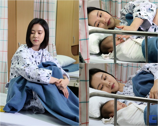 사진. 엘엔컴퍼니