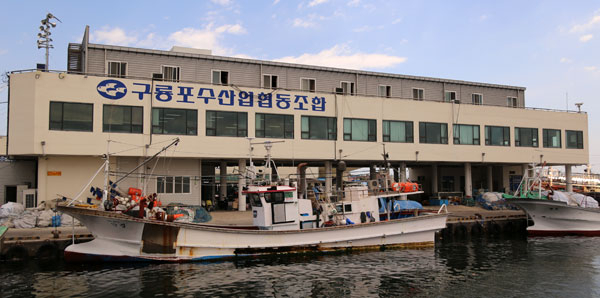 구룡포수협은 \