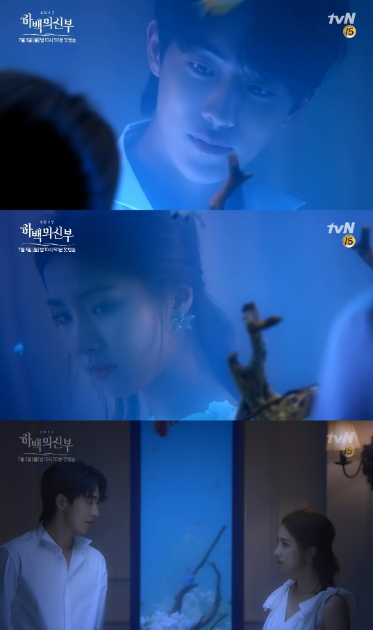 사진. tvN 