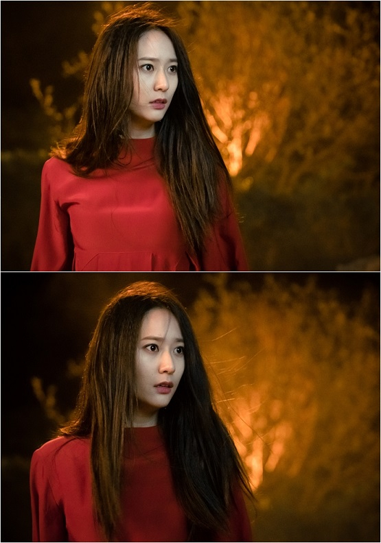 사진. tvN 