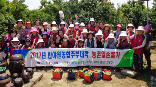 일손돕기에 참여한 반야월농협 최외수(첫 번째 줄 왼쪽 다섯 번째) 조합장과 주부대학 동창회 황영희(첫 번째 줄 왼쪽 네 번째) 회장 등 주부대학 봉사단원이 기념촬영을 하고 있다. 대구농협 제공