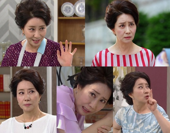 사진. 