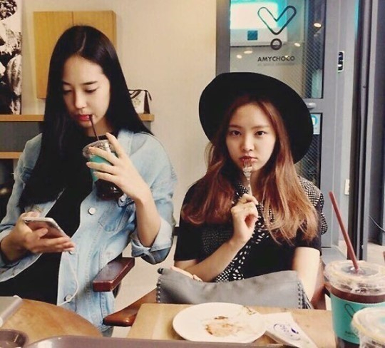 사진.에이핑크 트위터