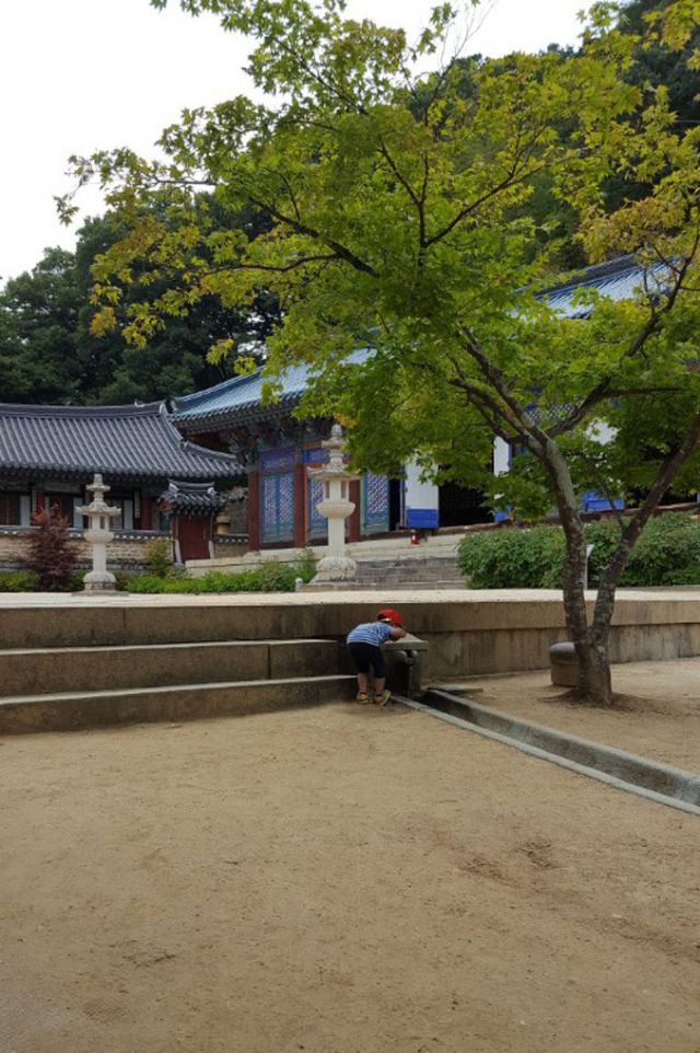 김천 직지사는 시인 문태준의 마음속 안식처다. 비로전 앞에서 한 꼬마가 물을 마시고 있다.