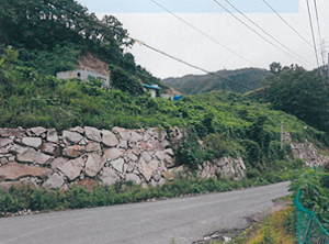 ◆경북 경주시 양남면 임야