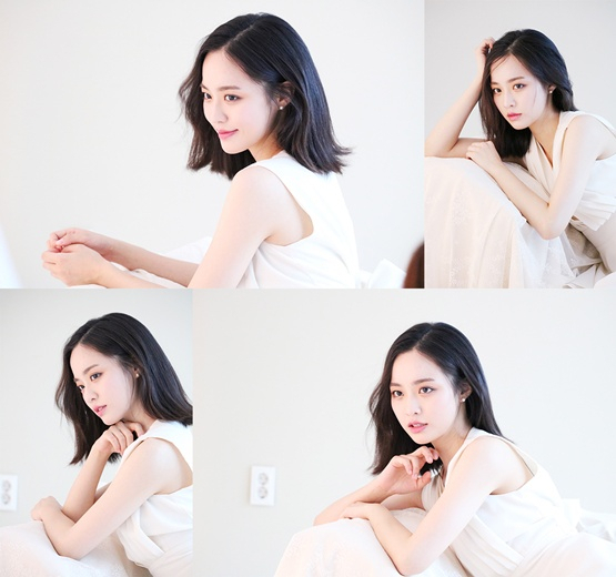 사진. 럭키컴퍼니