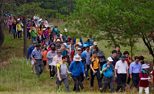 지난해 왜관 가실성당에서 칠곡 동명 한티순교성지까지 이어지는 