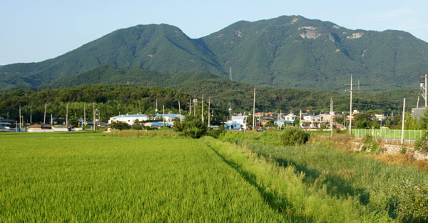 왕건과 견훤이 치열한 전투를 벌였던 옛 여진 나루터에서 바라본 구미시 해평면 낙산리 마을 전경. 마을 뒤에는 냉산이 병풍처럼 펼쳐져 있다.