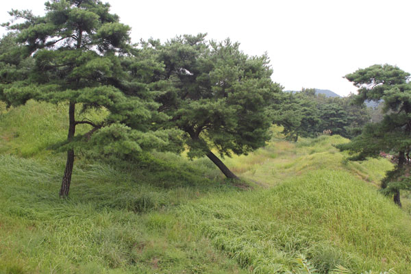 구미시 해평면의 낙산리 고분군 전경. 삼국시대 고분군으로 1990년 10월 31일 사적 제336호로 지정됐다. 전체 면적이 22만9천245㎡ 규모로 구미시 일대의 고분군 중 가장 크다.