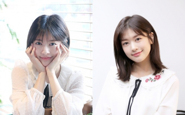 사진.젤리피쉬