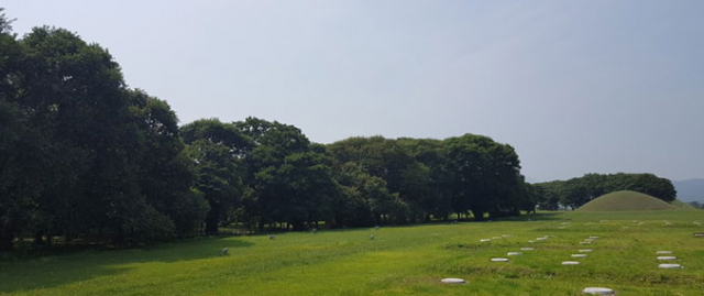 여름의 경주, 계림은 삶과 죽음이 1천 년 넘게 함께 쉬는 곳이다.