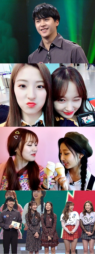사진.