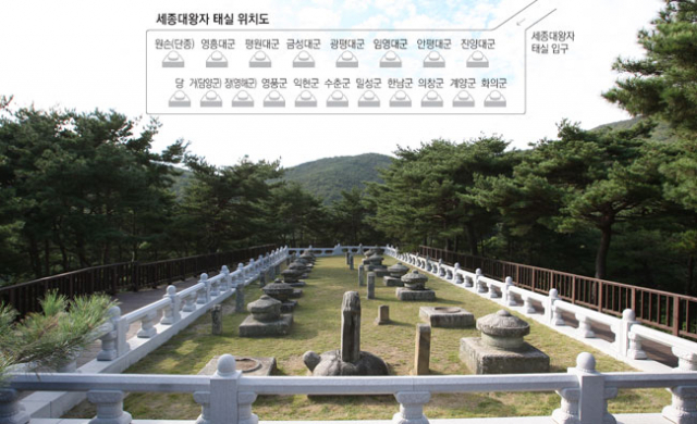 전국에서 유일하게 왕자 태실이 완전하게 군집(群集)을 이룬 성주 세종대왕자 태실.