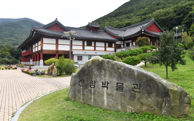 국내 최대 난대림 자생지인 완도수목원.
