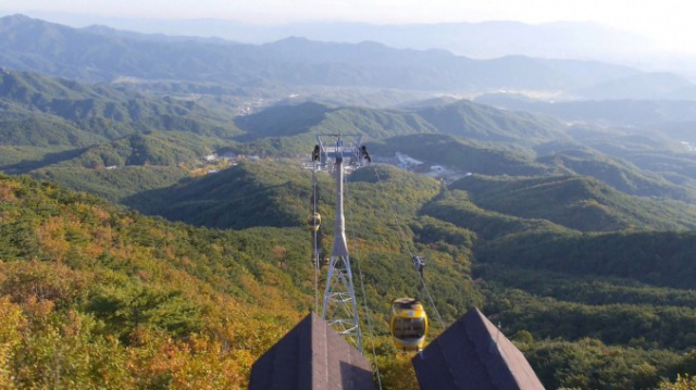 팔공산 단풍