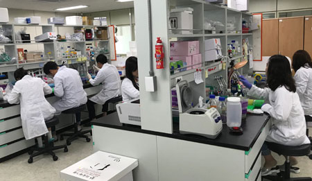 한국한의학연구원 한의기술응용센터 직원들이 자금정 효능 연구실험을 하고 있다. 대구시 제공